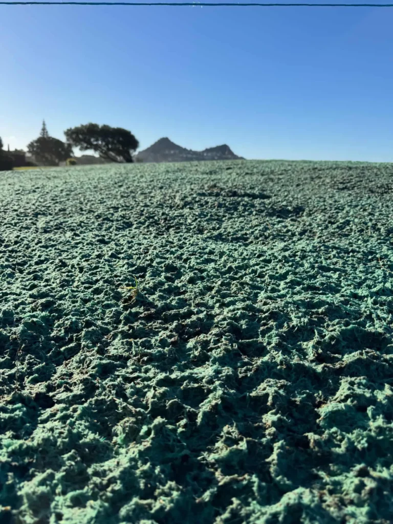 hydroseeding-client-02