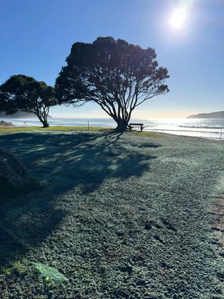 hydroseeding-client-13