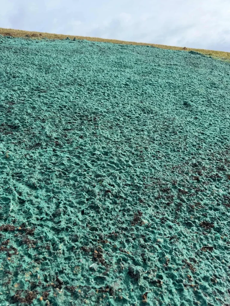 hydroseeding-client-15